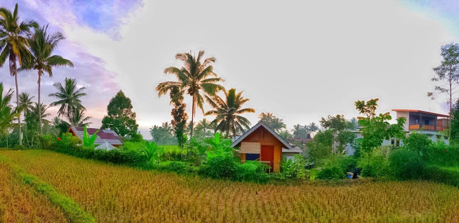 Citra Homestay Tetebatu Eksteriør billede