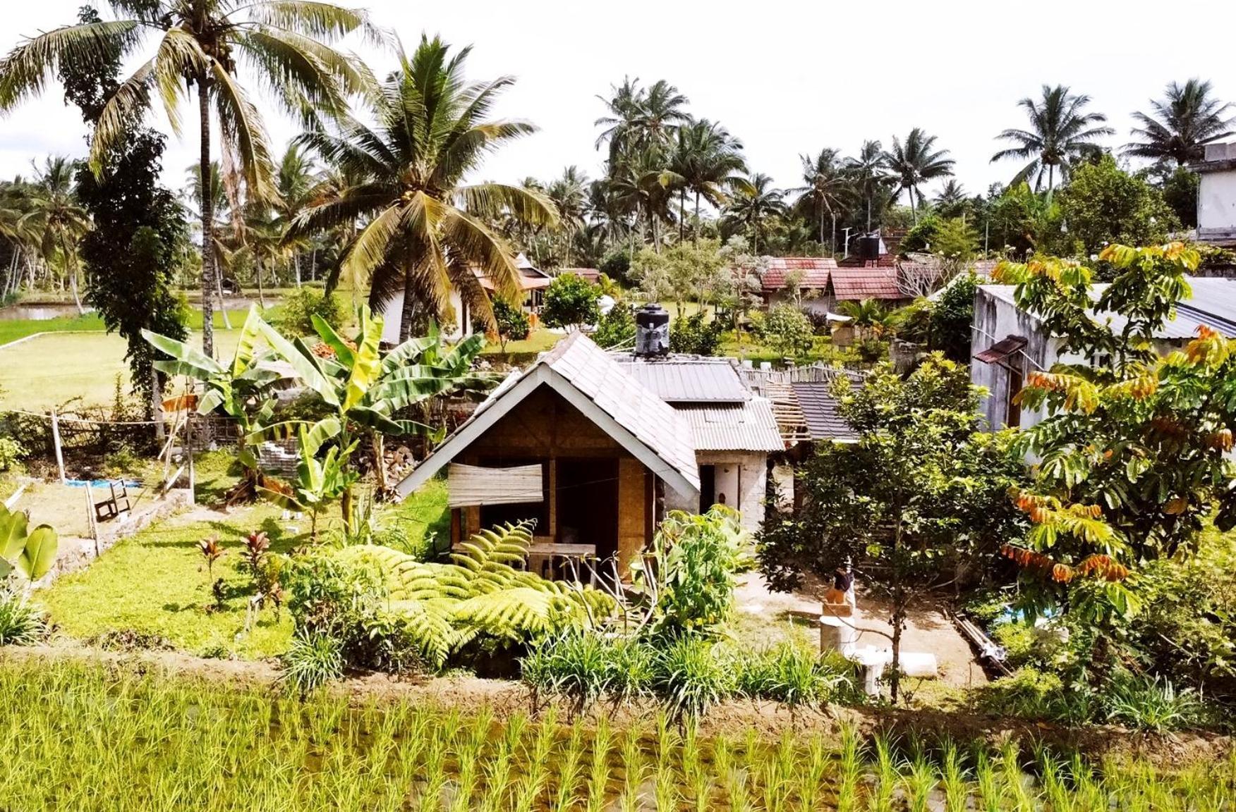 Citra Homestay Tetebatu Eksteriør billede