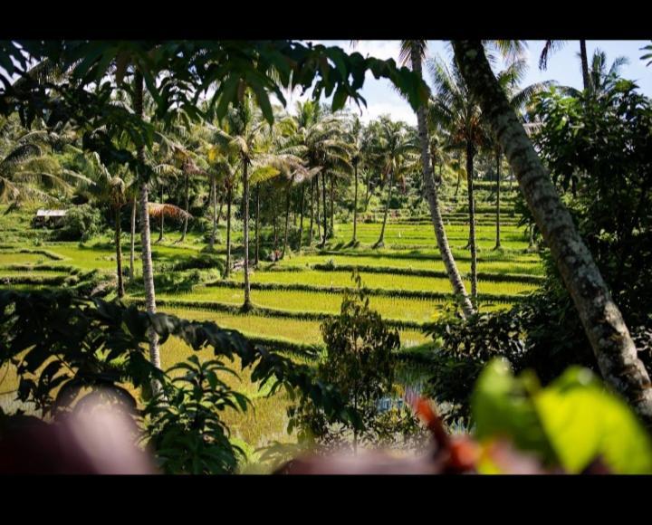 Citra Homestay Tetebatu Eksteriør billede